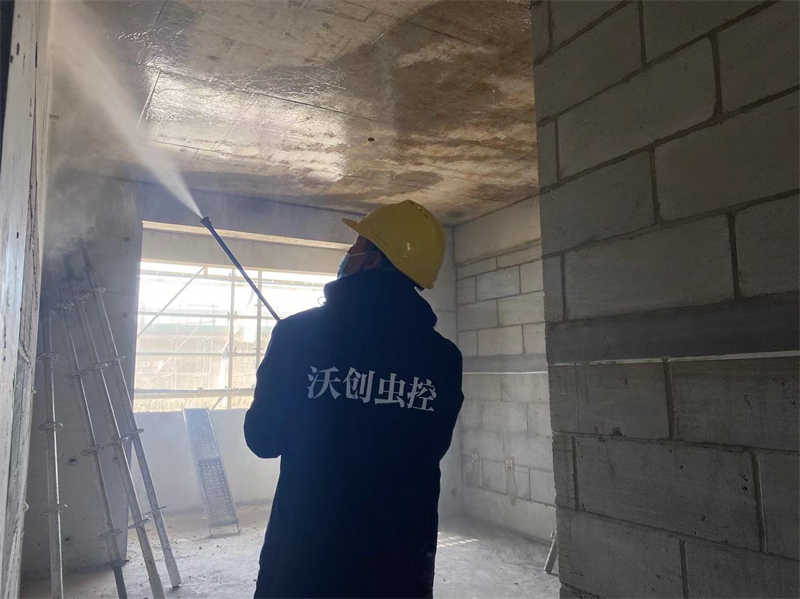 现场实拍